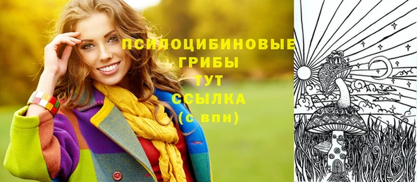стаф Баксан