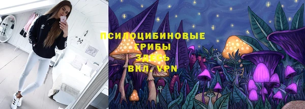 стаф Баксан