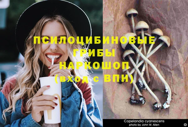 ГАЛЛЮЦИНОГЕННЫЕ ГРИБЫ Балабаново