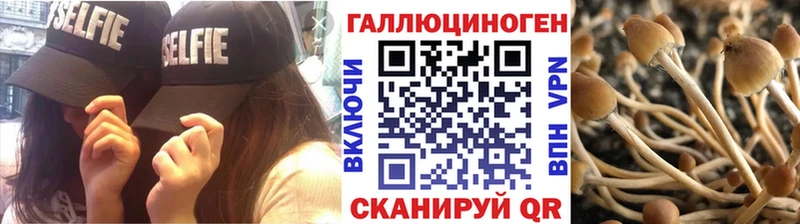 Галлюциногенные грибы прущие грибы  Светлый 